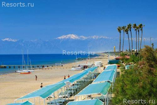 Magic Life Sirene Imperial 8